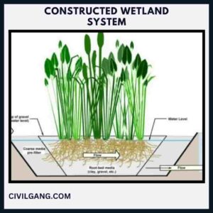 Constructed Wetland System