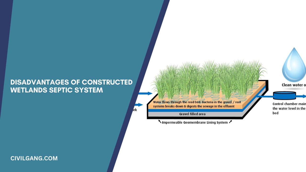 Disadvantages of Constructed Wetlands Septic System