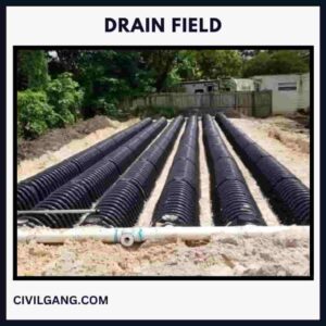 Drain Field