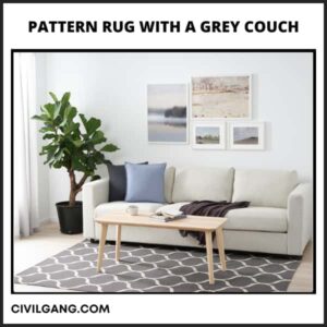 Pattern Rug with a Grey Couch