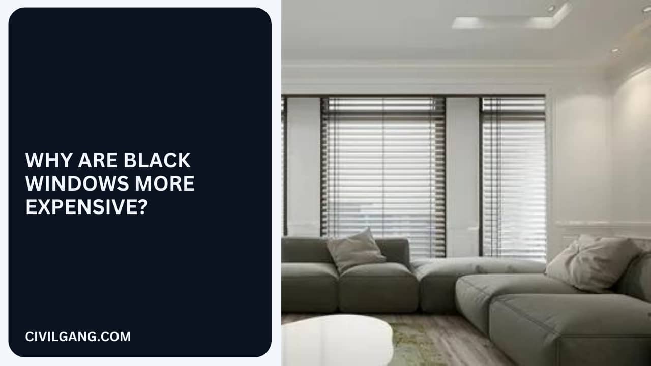 All About Black Windows | Are Black Windows More Expensive | Why Are ...