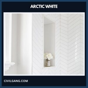 Arctic White