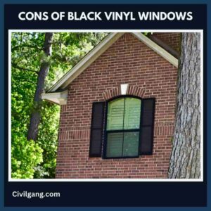 Cons of Black Vinyl Windows