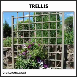 Trellis