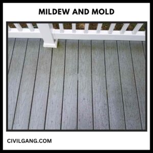 Mildew and Mold