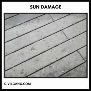 Sun Damage