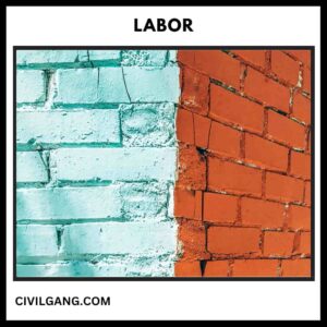 Labor