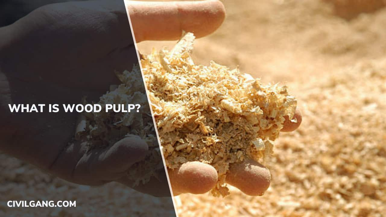 What Is Wood Pulp?