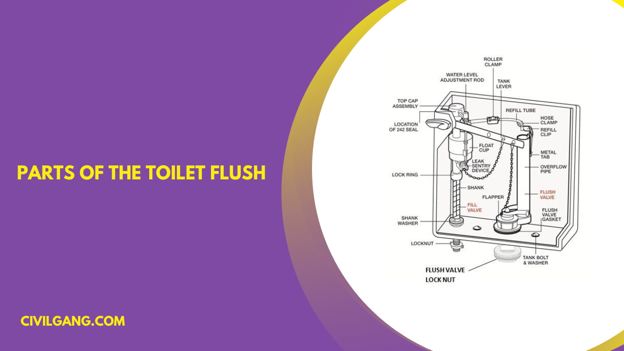 Parts of the Toilet Flush