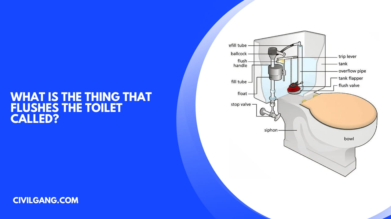 What Is the Thing That Flushes the Toilet Called?